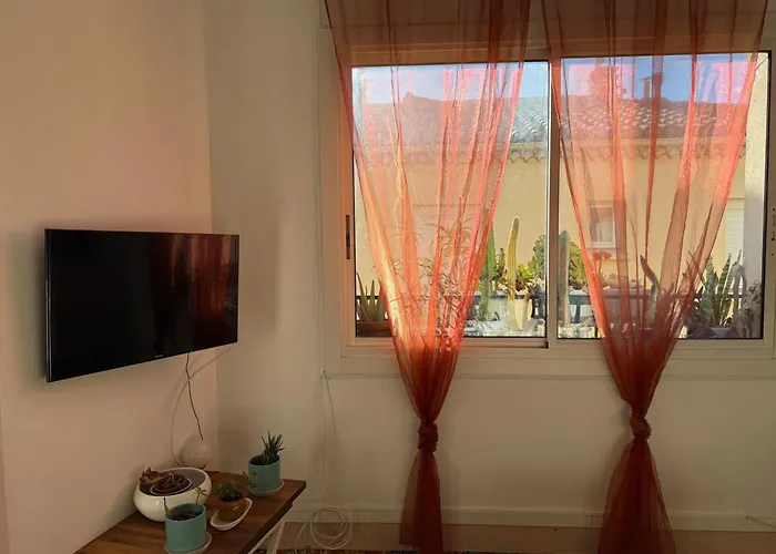 Banyuls-sur-mer, Appt T3 Proche Plages Et Commerces - Fr-1-309-380