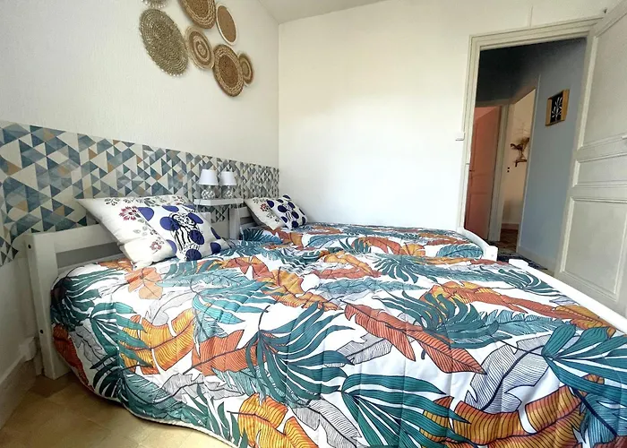 Banyuls-sur-mer, Appt T3 Proche Plages Et Commerces - Fr-1-309-380 公寓 *